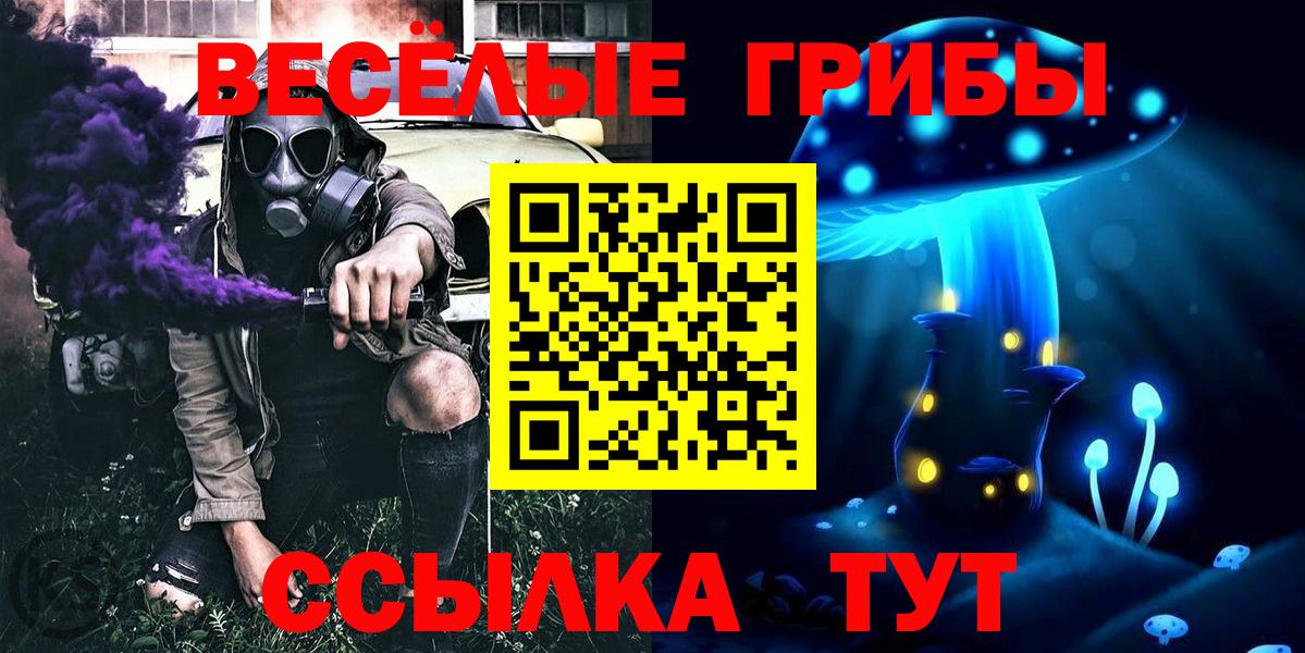 Ржев  Галлюциногенные грибы ЛСД  Вход с VPN 