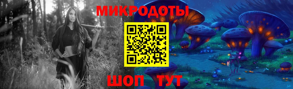 Псилоцибиновые грибы Psilocybe Ржев
